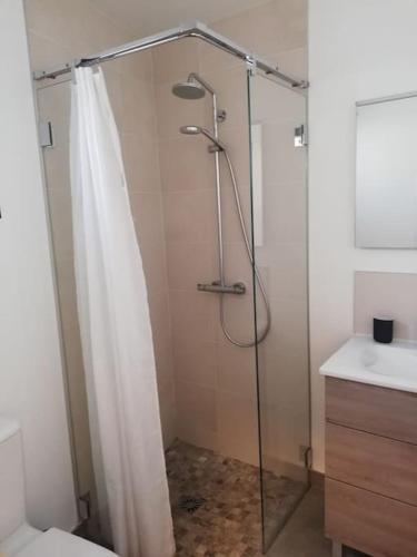 une salle de bain avec une douche avec un rideau de douche dans l'établissement Studio confortable dans villa, terrasse, clim, à Montpellier