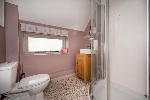 a bathroom with a toilet and a shower and a window at Pats' Place Long Melford in Sudbury