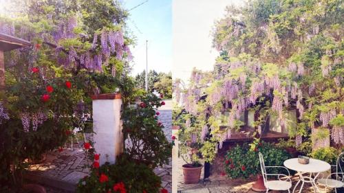 Fotografie z fotogalerie ubytování Villa Lena v destinaci Turi