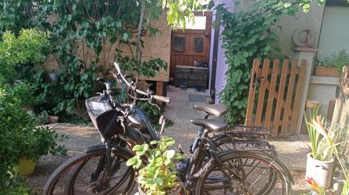- deux vélos garés dans une cour dans l'établissement Garden Duplex, à Sundhoffen