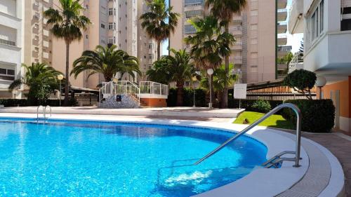 una grande piscina blu con palme e edifici di Caballito de mar, parking, AC y fibra VT-52619-V a Gandía