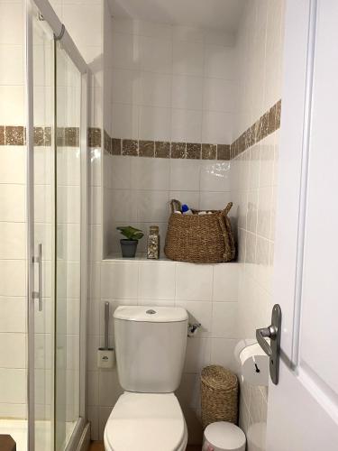 une salle de bain avec toilettes et douche en verre dans l'établissement Le Grenache, à Collioure