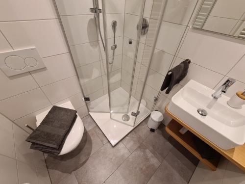 Un baño con ducha, inodoro y lavabo. en Gipfelglück, en Bischofswiesen