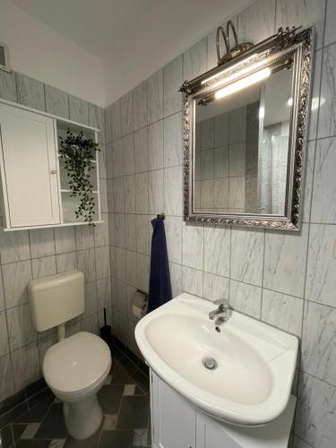 a bathroom with a sink and a toilet and a mirror at Behaglichkeit und kurze Wege in Schwerin