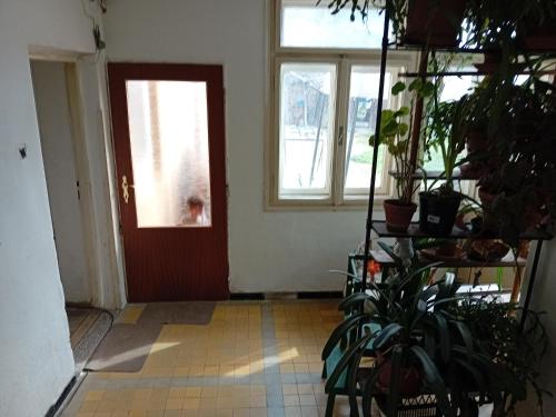 a room with a red door with a dog in the window at Statek in Veverská Bítýška