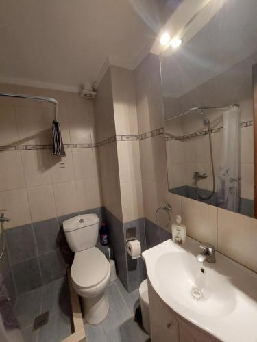 a bathroom with a white toilet and a sink at KLEOPATRA APARTMENT in Neoi Epivates