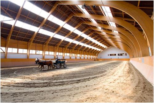 a horse drawn carriage in a large barn at Hétkúti Wellness Hotel in Mór