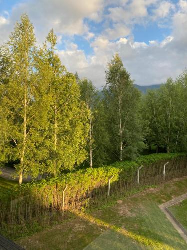 Příroda nedaleko apartmánu