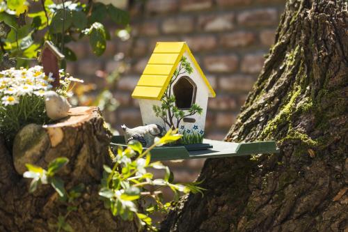 Taman di luar Agva Greenline Guesthouse (Adult Only +12)