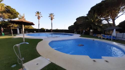 una gran piscina en un patio con palmeras en Casa Alma, en Campano