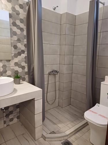 un bagno con doccia e WC di Mariza Apartments -studios a Hanioti