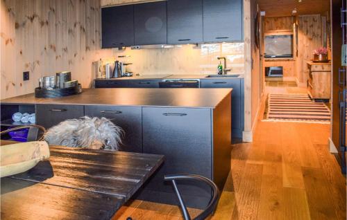 um cão deitado no chão numa cozinha em 3 Bedroom Awesome Apartment In Rjukan em Rjukan