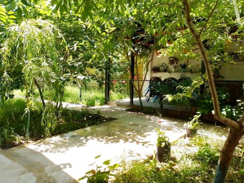 un jardín con un banco en medio de un patio en Dom Semya Deluxe Gusar en Qusar