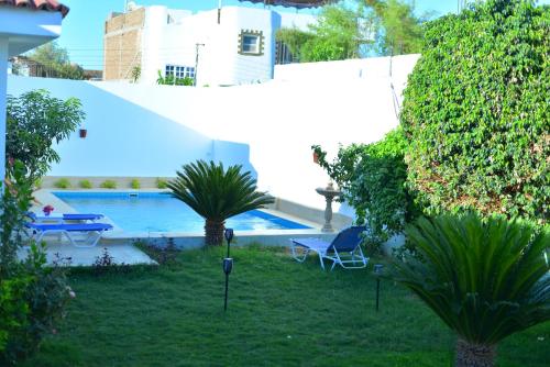 a yard with a swimming pool and a house at Luxor Rose Villa in Luxor