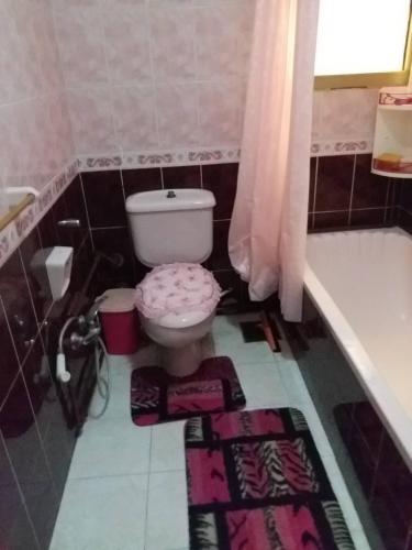 a bathroom with a toilet and a bath tub at Apartment Close to the sea in Alexandria