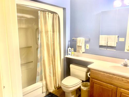 een badkamer met een toilet, een douche en een wastafel bij TALISMAN AMAZING VIEWS Walk to Uptown Sleeps 4 in Pagosa Springs