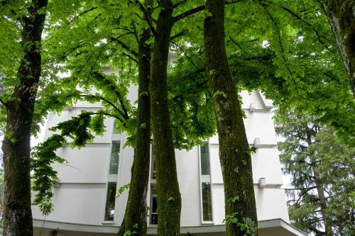 a white building with trees in front of it at Silva Hotel Splendid in Fiuggi