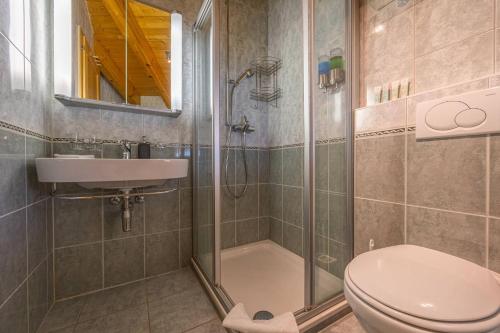 a bathroom with a shower and a toilet and a sink at Chalet Le Papillon - Calm, sunny, spacious in Nendaz