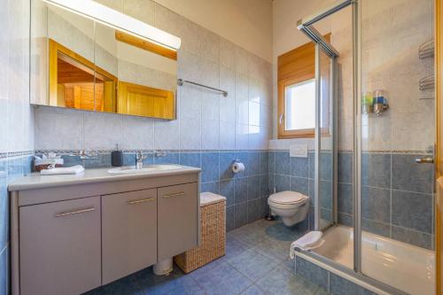 a bathroom with a sink and a shower and a toilet at Chalet Le Papillon - Calm, sunny, spacious in Nendaz