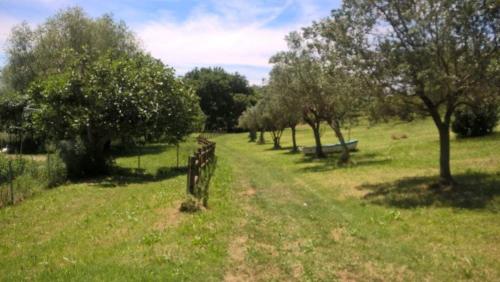 Κήπος έξω από το Borgo Rosso Country House B&B