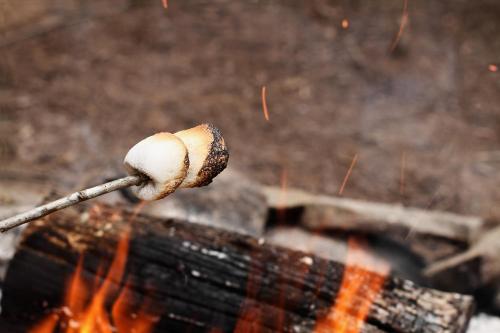 a marshmallow on a stick cooking over a fire at Veld lodge in Schoonloo