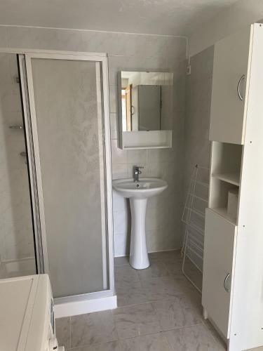 La salle de bains est pourvue d'un lavabo et d'un miroir. dans l'établissement Appartemant La Gardette, à Le Puys