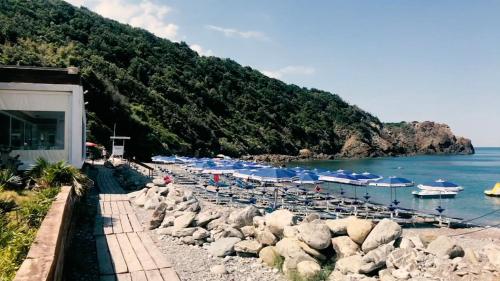 a beach with chairs and umbrellas and the water at DESTINAZIONE PARADISO in Piombino