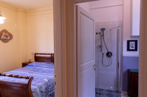a bedroom with a shower and a bed and a door at Casa nella campagna Parmigiana. in Stradella