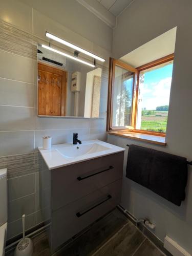 a bathroom with a sink and a mirror and a window at La maison des commis in Morestel