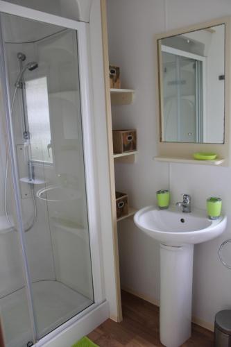 Koupelna v ubytování MH481 spatieux 8pers - BRUME