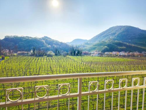 a balcony with a view of a field of grapes at Maison Andrea in Farra di Soligo