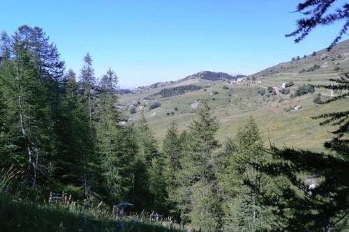 a view of a hill with trees in the foreground at Studio au cœur de Valberg à proximité des pistes in Valberg