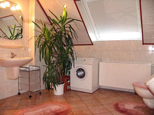 een badkamer met een wasmachine en een plant bij Ferienwohnung Seeleshof in Geisa