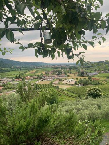 a view of a green field from a tree at L’Oro di Nonna Adele in Udine