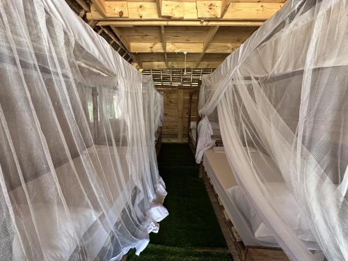 a row of white curtains in a room with grass at Coconuts Bandas in Jambiani