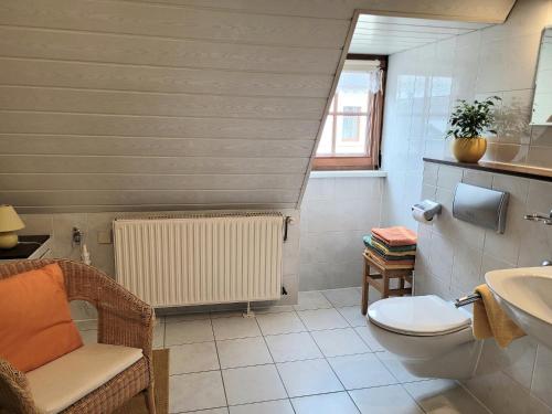 ein Bad mit einem WC und einem Waschbecken in der Unterkunft Ferienwohnungen Stephan in Marienberg