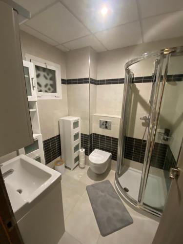a bathroom with a shower and a toilet and a sink at Apartamento Calpe in Calpe