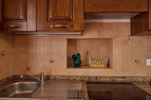 聖溫琴佐的住宿－Antichi Palmenti - Alloro，厨房配有水槽和台面