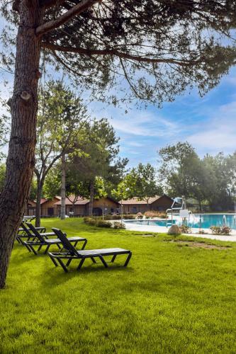 Πισίνα στο ή κοντά στο wecamp Pirineos