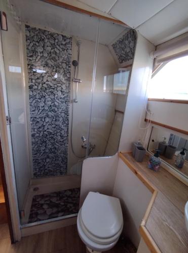 a bathroom with a shower with a toilet and a sink at BED&BOAT boatandholiday in Fano