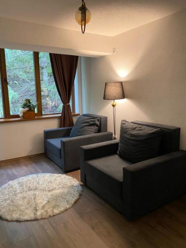 a living room with two couches and a rug at Hotel Neda Galichnik in Galičnik