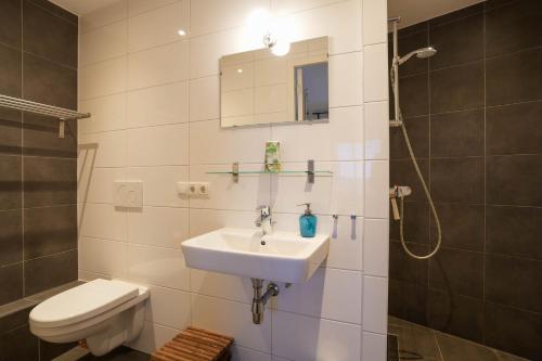 een badkamer met een wastafel, een toilet en een douche bij Op d'r Vieleberg in Vijlen