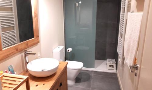 y baño con aseo, lavabo y ducha. en Apartamento con Wifi en Ossèja en Osséja