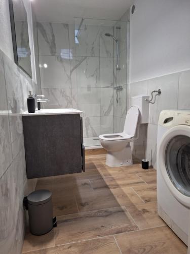 a bathroom with a toilet and a sink and a washing machine at Apartment Kp with parking in Koper