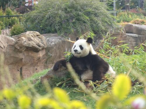 Domaine du Mont des Chênes