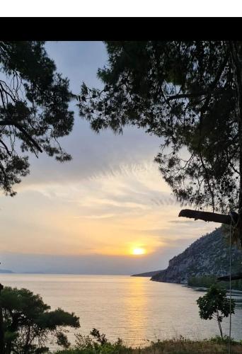 Φυσικό τοπίο κοντά σε αυτή η βίλα
