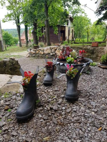 a group of rubber boots with flowers in them at Konaciste Mali Izvor in Boljevac
