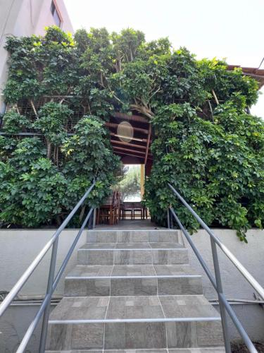 Gallery image of Michael’s Vacancies in Phanaes