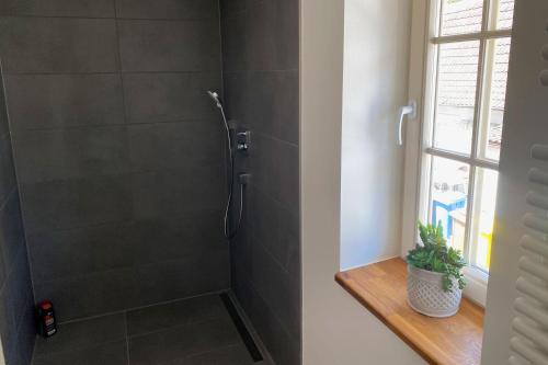 a bathroom with a shower with a glass door at Nice Apartment in Eschborn in Eschborn