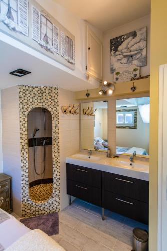 une salle de bain avec un lavabo, une douche et un miroir dans l'établissement Mini gîte de 21 m carrés, à La Bouilladisse